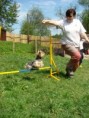 /album/fotogalerie-agility-u-nas/fotky-057-jpg/